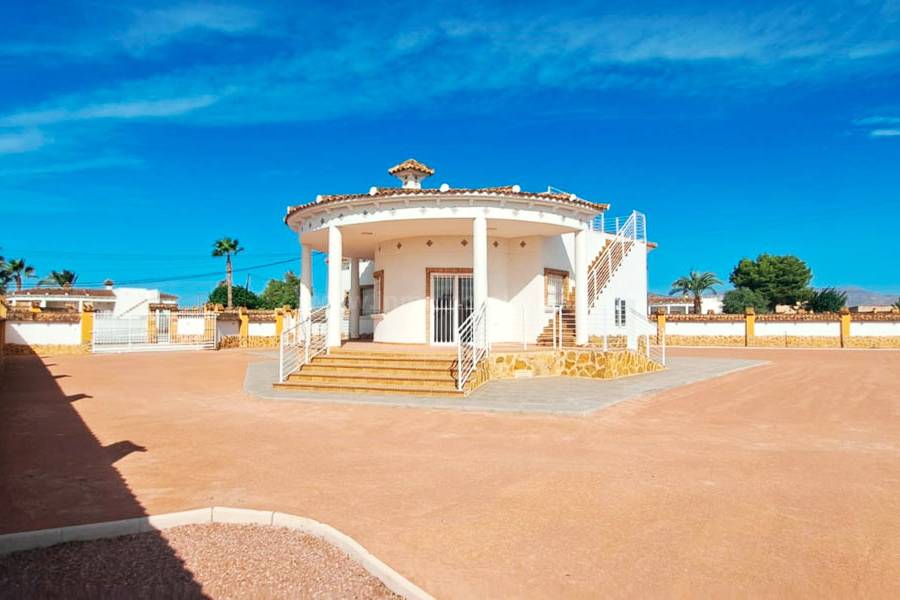 Revente - Villa ( Finca ) - Catral