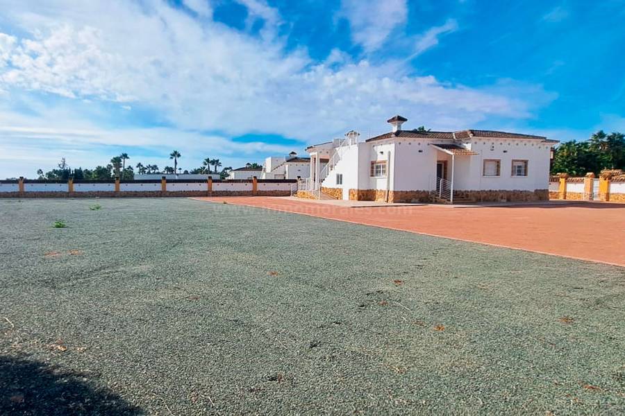 Revente - Villa ( Finca ) - Catral