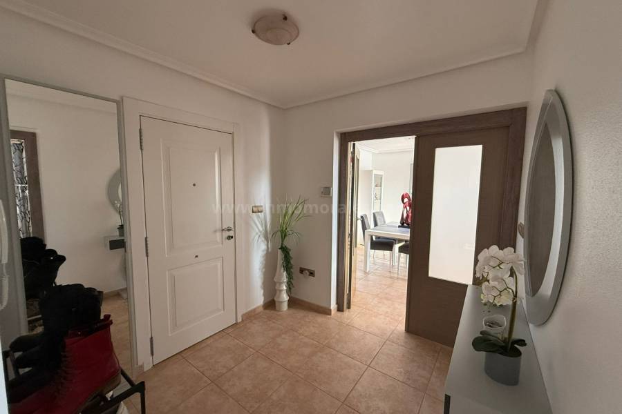 Herverkoop - Villa ( Finca ) - Catral