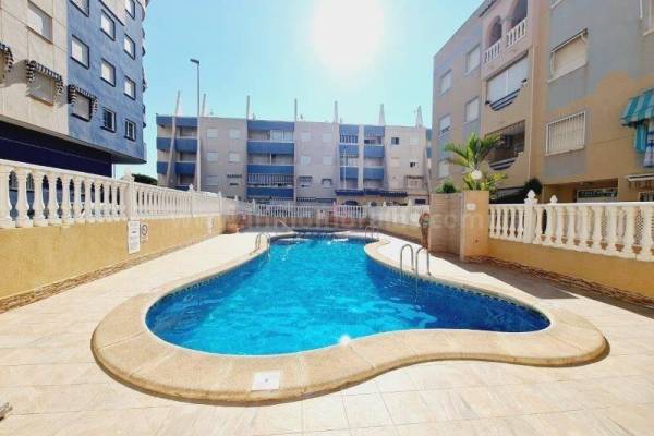 Appartement - Revente - La Mata - La Mata
