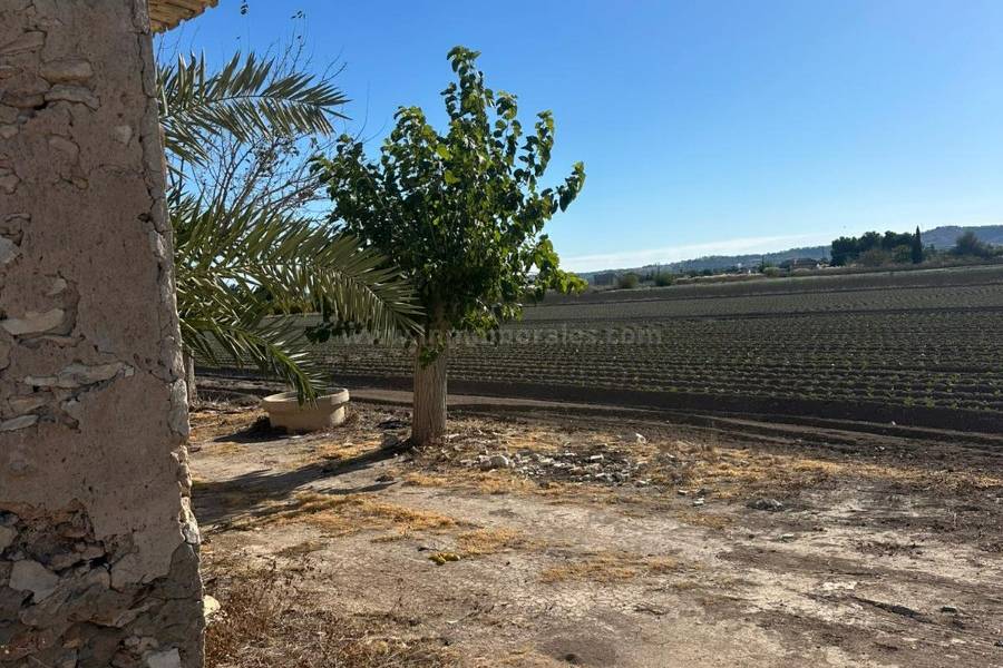 Herverkoop - Om te renoveren - Daya Vieja