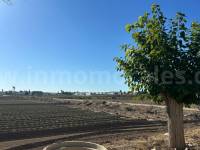 Herverkoop - Om te renoveren - Daya Vieja