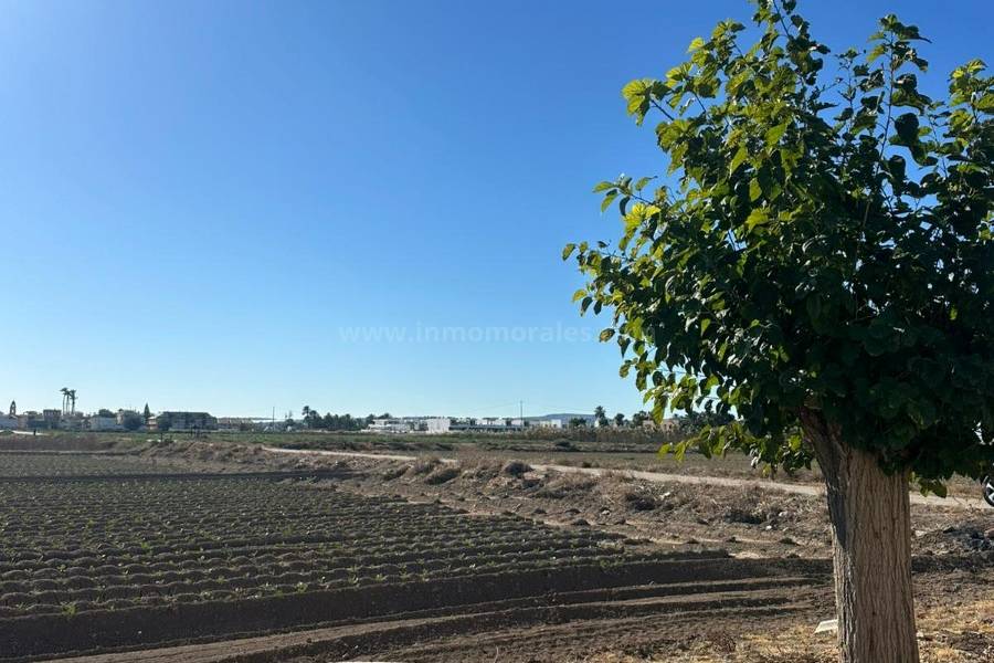 Herverkoop - Om te renoveren - Daya Vieja