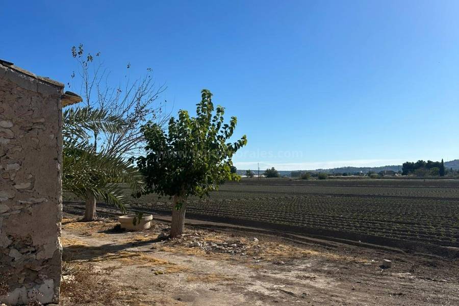 Herverkoop - Om te renoveren - Daya Vieja