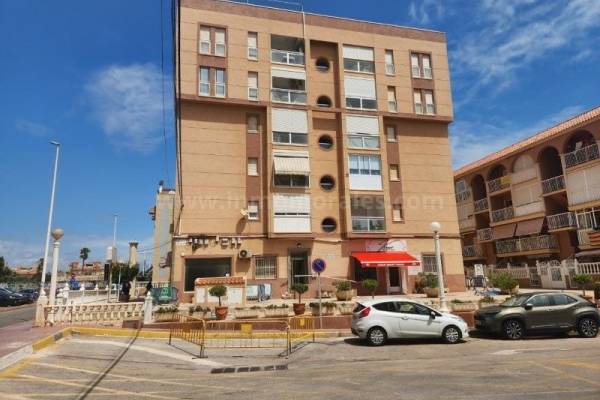 Wohnung/Apartment - Wiederverkauf - La Mata - La Mata