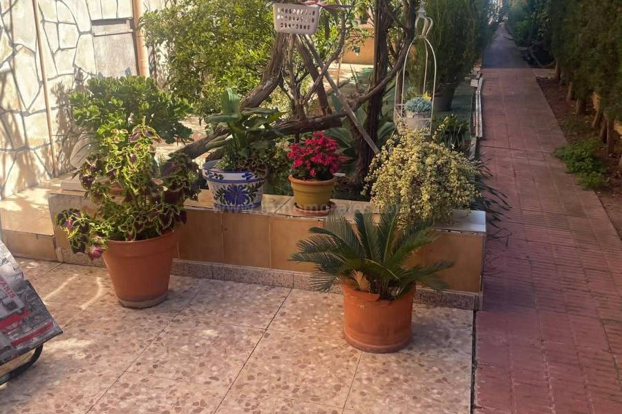 Revente - Maison Jumelée - La Mata