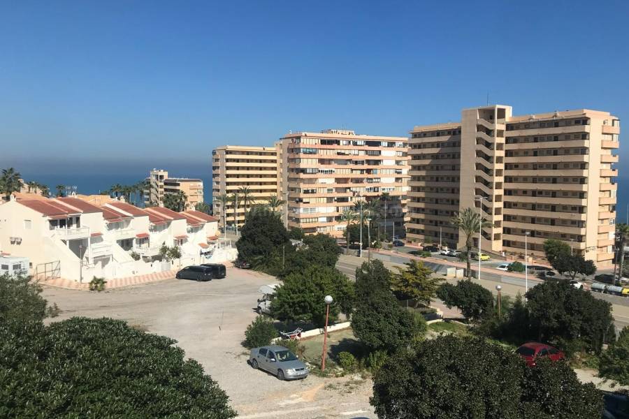 Resale - Duplex - La Mata - Cabo Cervera