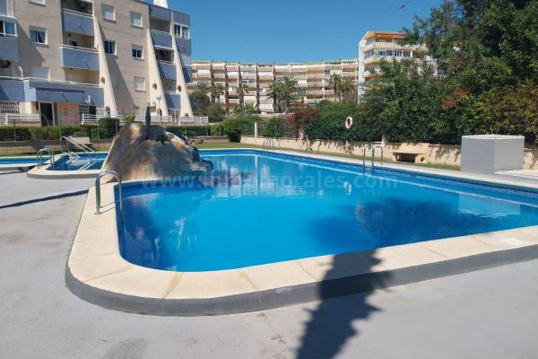 Apartment  - Resale - La Mata - La Mata