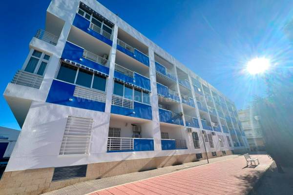 Appartement - Herverkoop - Almoradí - Almoradí