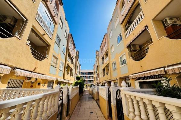 Apartment  - Resale - La Mata - La Mata