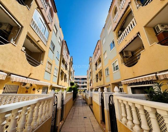 Apartamento / Piso - Venta - La Mata - La Mata