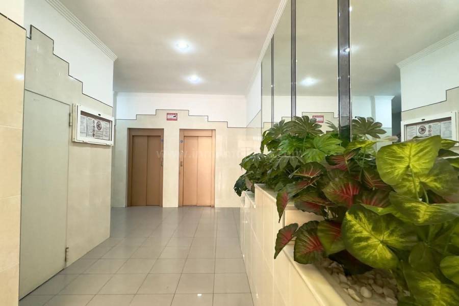 Wiederverkauf - Wohnung/Apartment - Torrevieja - Centro
