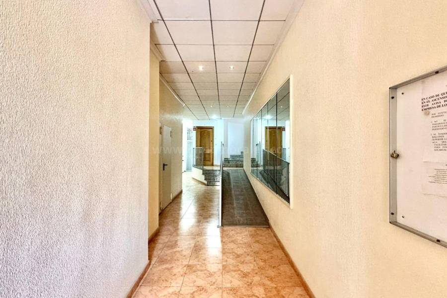 Wiederverkauf - Wohnung/Apartment - Torrevieja - Centro
