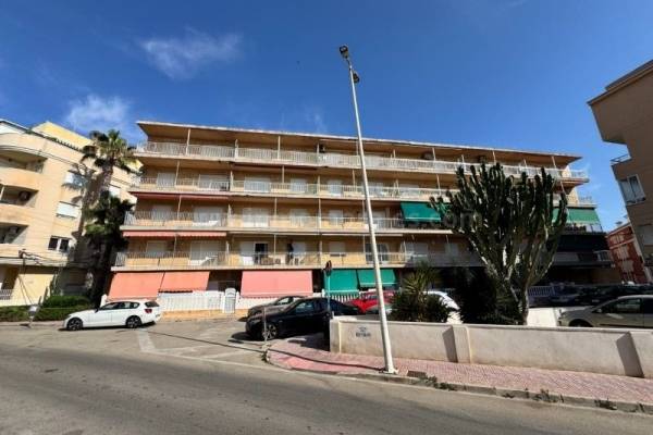 Wohnung/Apartment - Wiederverkauf - La Mata - La Mata