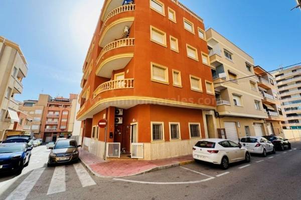 Apartment  - Resale - La Mata - La Mata