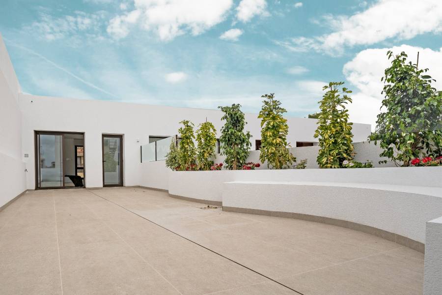 New Build - Detached House / Villa  - Almoradí