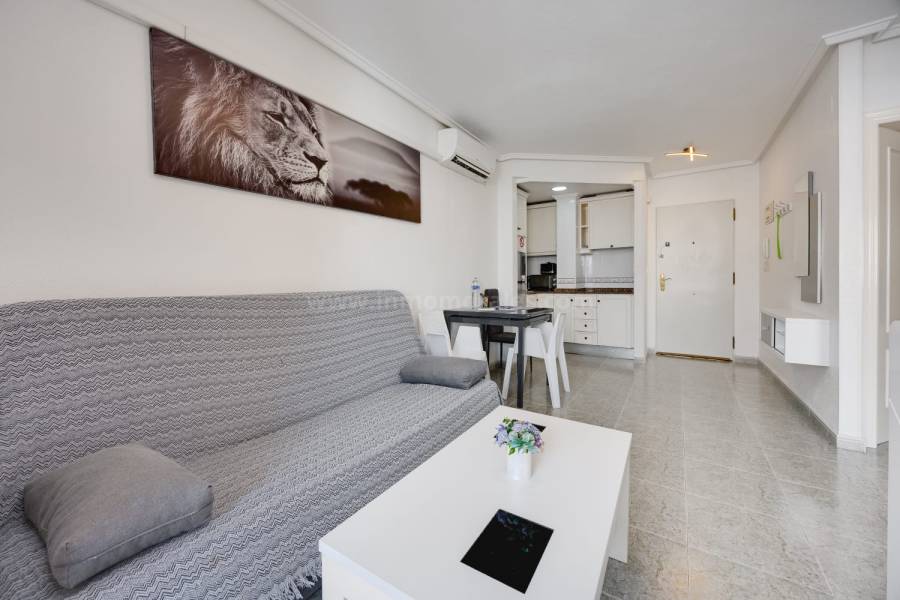 Resale - Apartment  - Torrevieja - Playa de los Locos