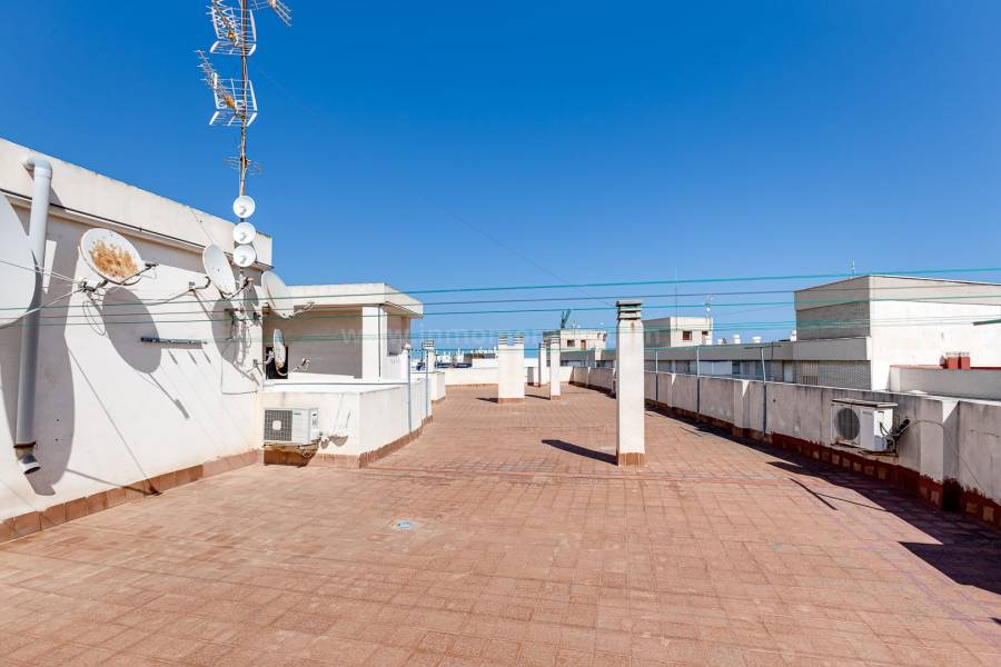 Resale - Apartment  - Torrevieja - Playa de los Locos