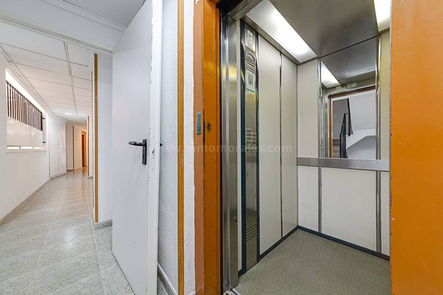 Resale - Apartment  - Torrevieja - Playa de los Locos