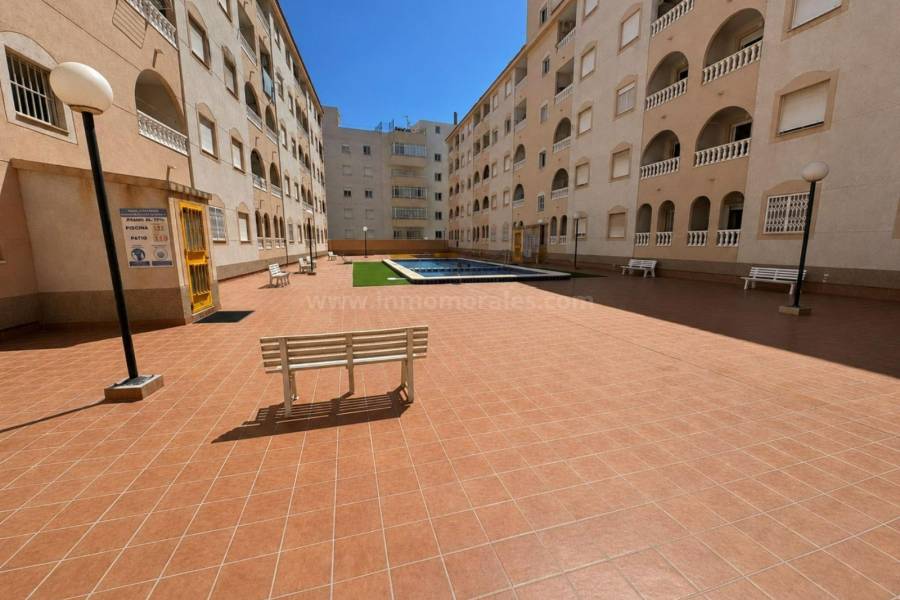 Resale - Apartment  - Torrevieja - Centro