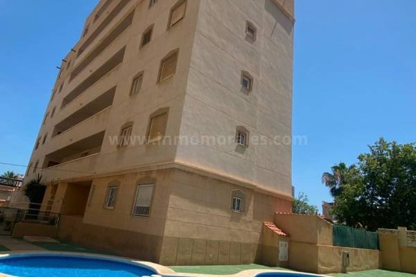 Apartment  - Resale - Torrevieja - Nueva Torrevieja