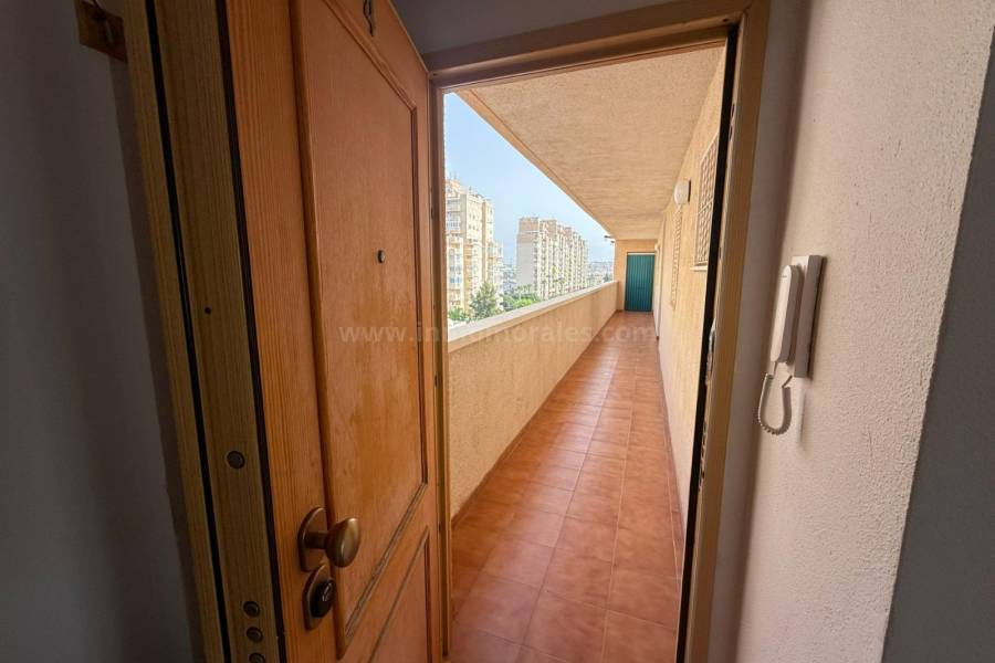 Resale - Apartment  - Torrevieja - Nueva Torrevieja