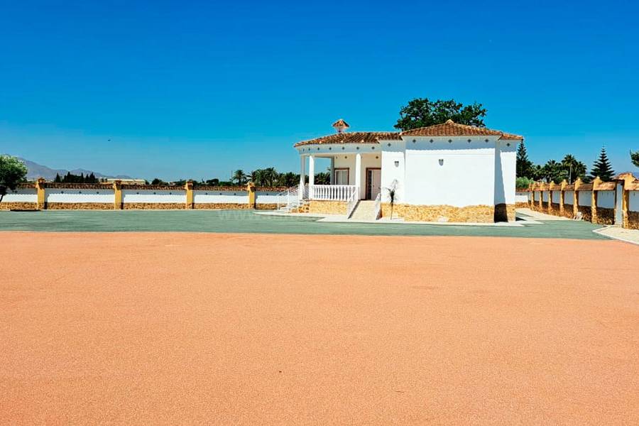 Revente - Villa ( Finca ) - Catral
