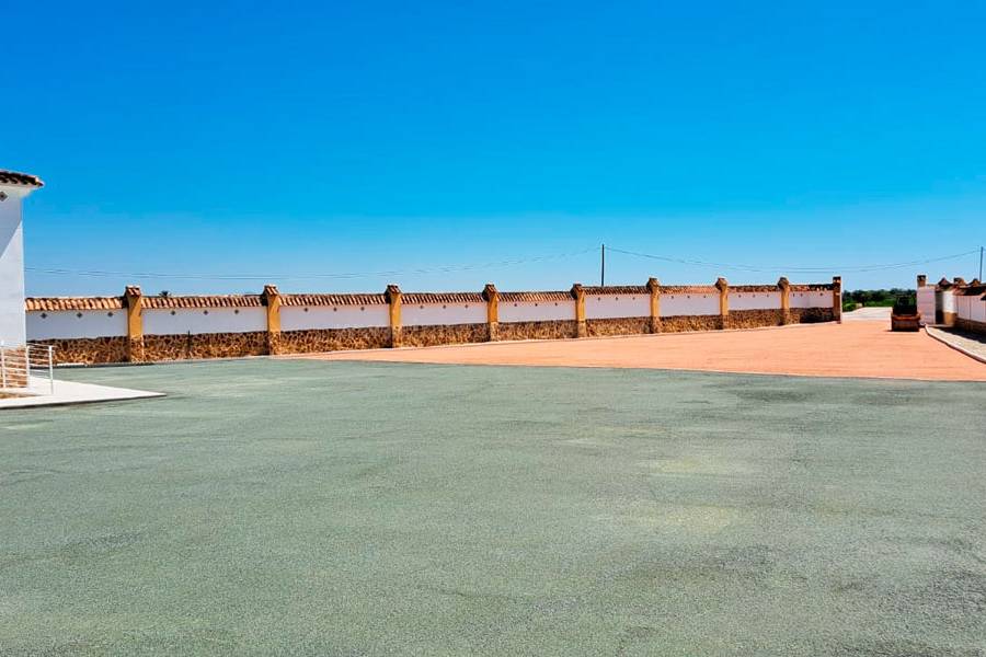 Revente - Villa ( Finca ) - Catral