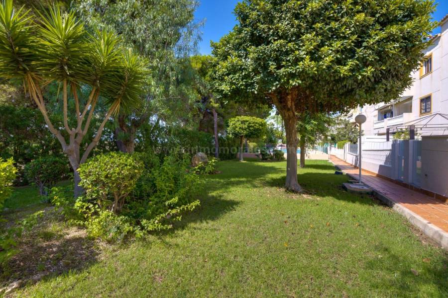 Wiederverkauf - Wohnung/Apartment - Torrevieja - Torreblanca