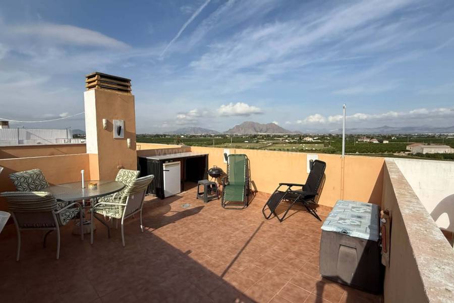 Venta - Apartamento / Piso - Almoradí